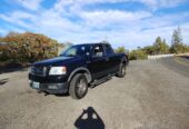 04 Ford F-150