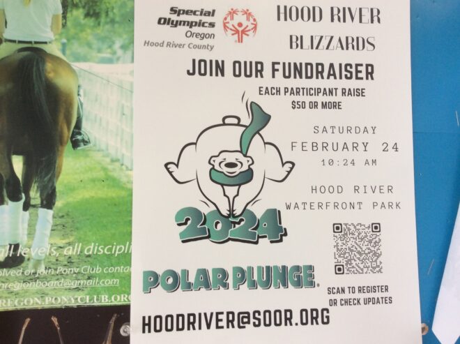 Polar plunge fundraiser