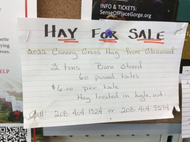 Hay for sale