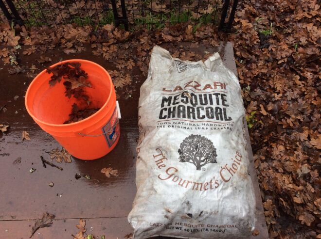 Mesquite charcoal