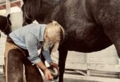 Farrier Accepting New Clients