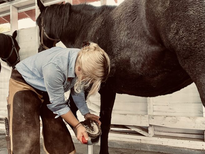 Farrier Accepting New Clients