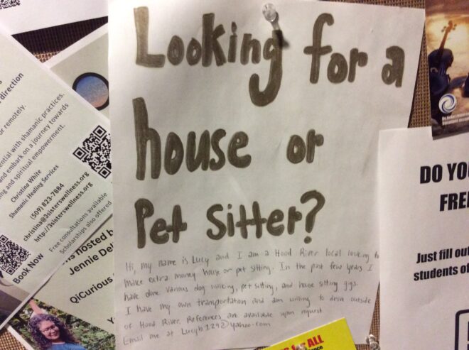 House or pet sitting