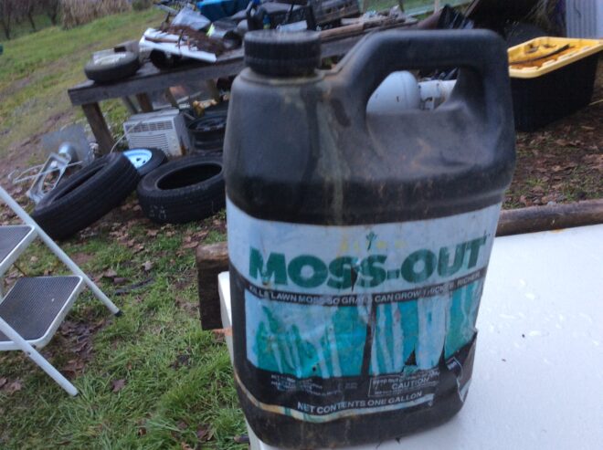 Full gallon of moss out