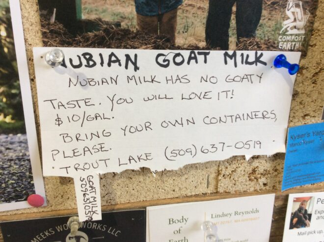 Goat milk