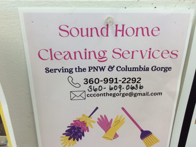 Cleaning service