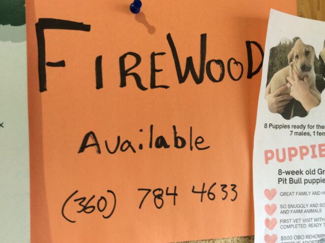 Firewood