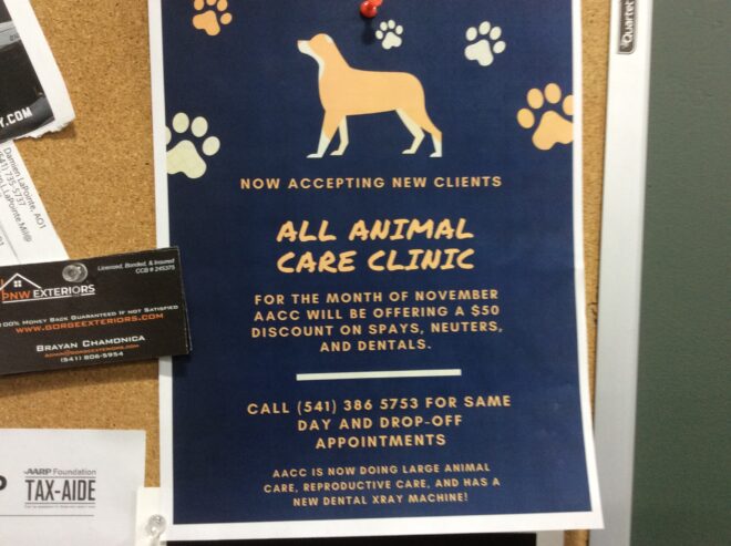 Vet care