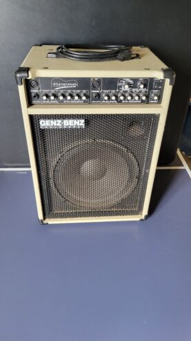 Acoustic guitar amp