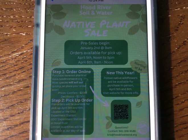 Native plant sale