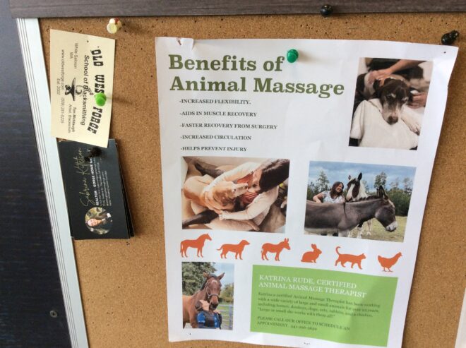 Animal healing massage