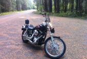 2005 Harley Davidson Dyna Wide Glide