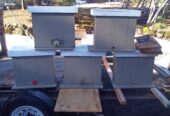 Honey bee swarm traps