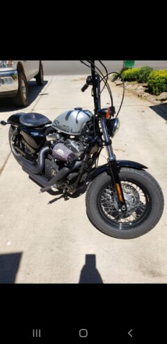 Harley-Davidson Sportster 1200XL 48