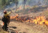 BECOME A WILDLAND FIREFIGHTER – FREE TRAINING!