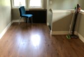 ADU for Rent in the Heights Starting June