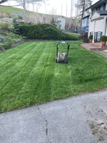 Landscaping Crew