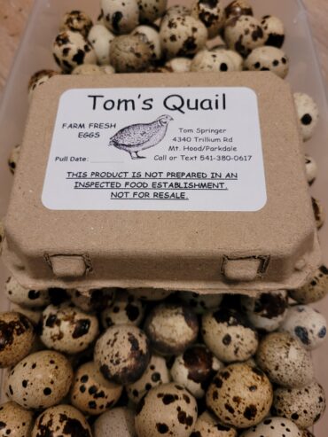 Quail Eggs