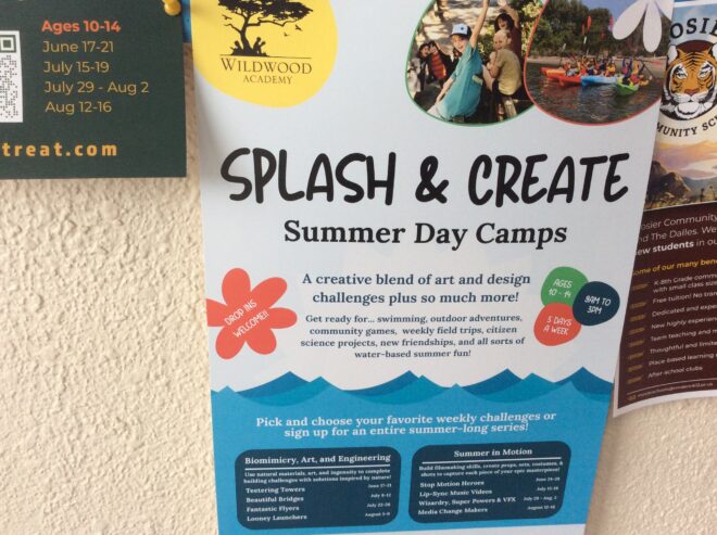 Summer day camps