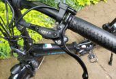 Lectric Xpremium Ebike