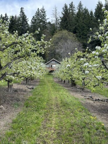 Cabin on 80 acres for mid-summer sublease