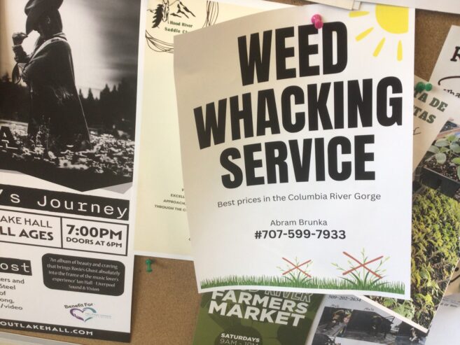 Weed whacking service