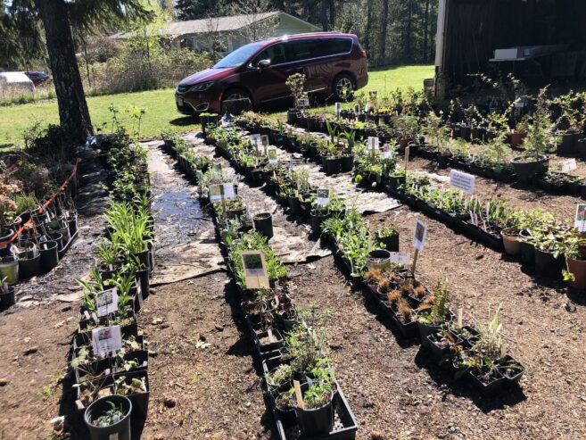 ODELL GARDEN CLUB PLANT SALE