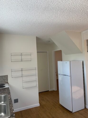 Trout Lake Apartment For Rent