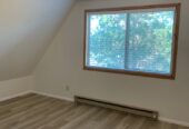 Trout Lake Apartment For Rent