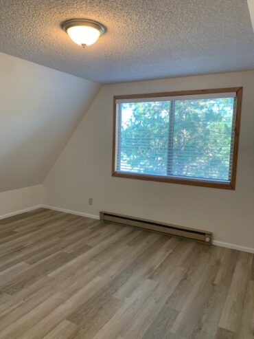 Trout Lake Apartment For Rent