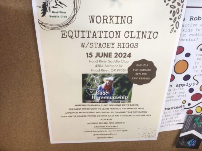 Horse clinic