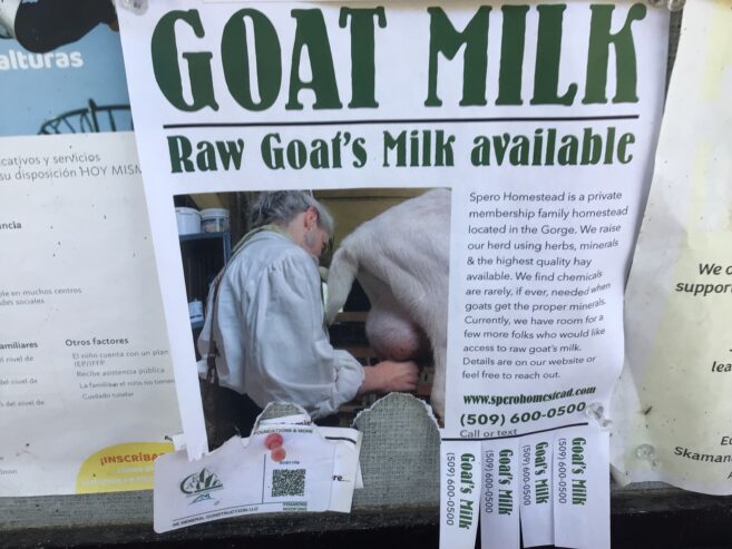 Goat milk