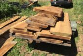 Wood slabs