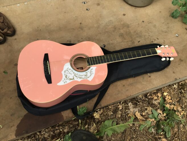 Guitar and case