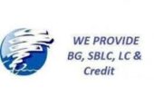 We are direct providers of Fresh Cut BG, SBLC and LC