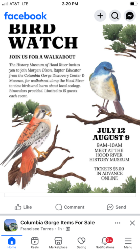 Bird walk next week