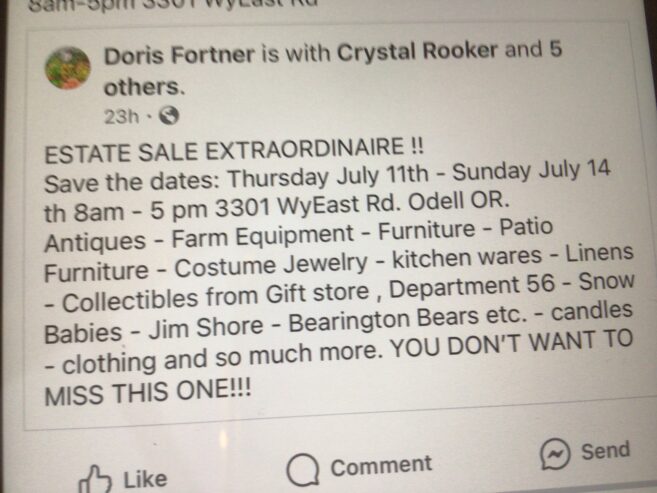 Estate sale in odell