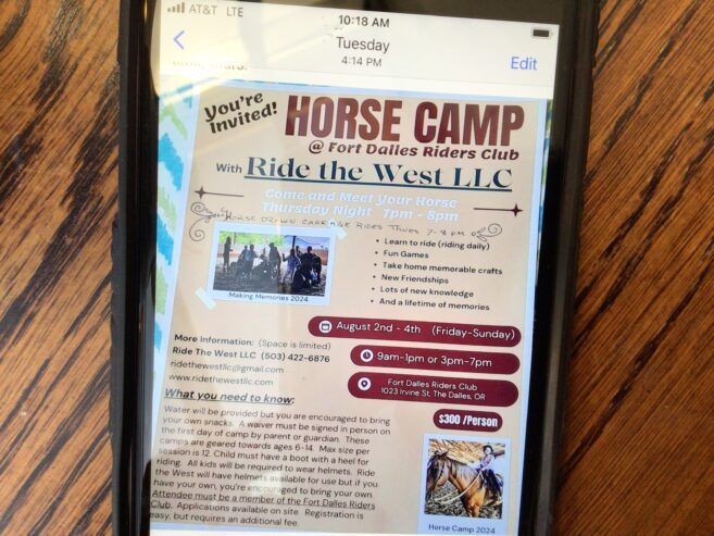 Horse camp