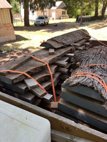 Black Walnut Slabs