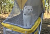 Dog/Cat stroller