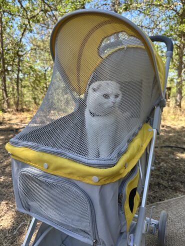 Dog/Cat stroller