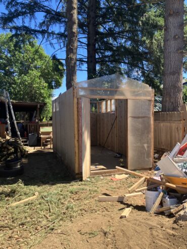 Greenhouse shed