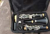 Clarinet and case