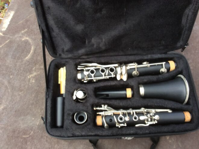 Clarinet and case