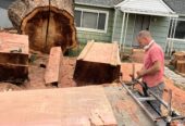 Redwood slabs