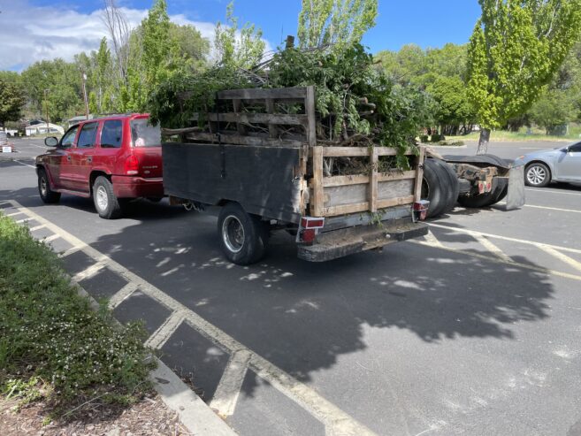 Landscaping Crew