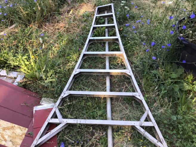 Orchard ladder