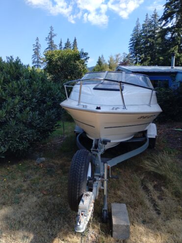 2002 Bayliner 22 ft