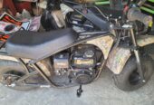 Colman 200cc mini bike