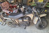 Colman 200cc mini bike